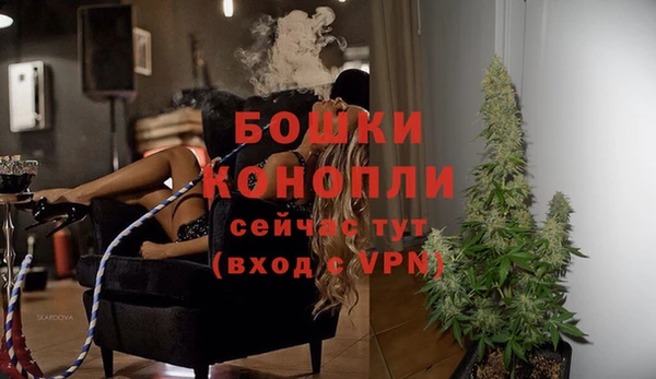дурь Лагань