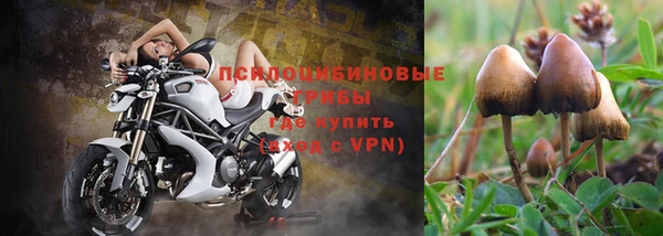 герыч Алексеевка