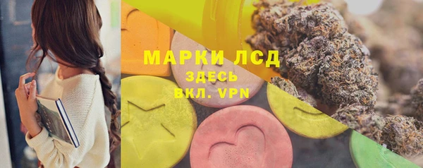шишки Алзамай