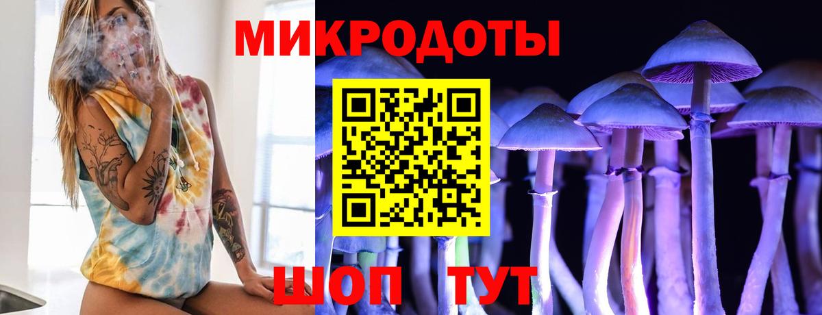 Галлюциногенные грибы Cubensis  Вход с VPN  Новошахтинск  Галлюциногенные грибы GOLDEN TEACHER 