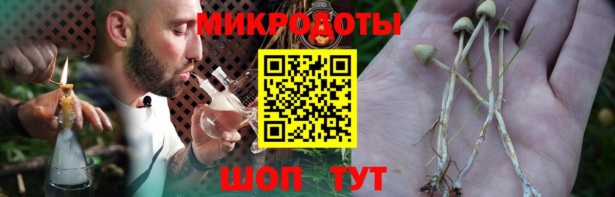 Галлюциногенные грибы прущие грибы Новошахтинск